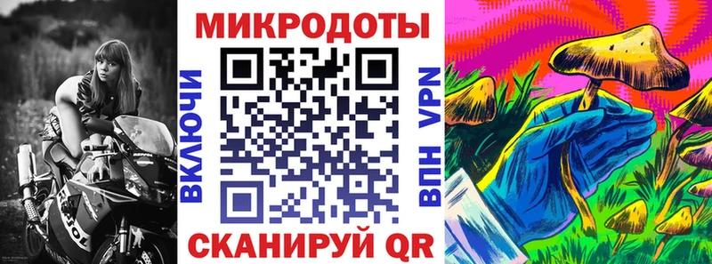 Галлюциногенные грибы прущие грибы  Озёры 